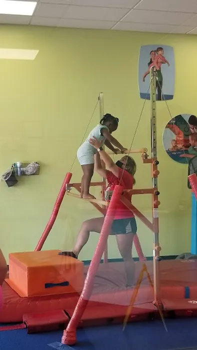 The Little Gym of Virginia Beach Picture 5