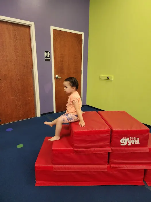 The Little Gym of Virginia Beach Picture 6