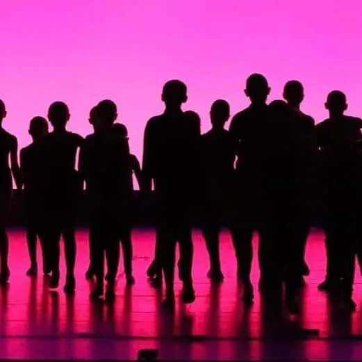 Performing Arts Academy of Virginia Beach Picture 1