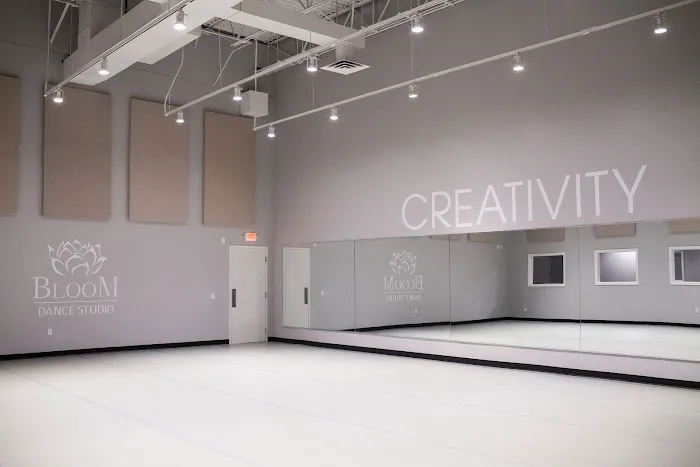Bloom Dance Studio - Oakview Picture 3