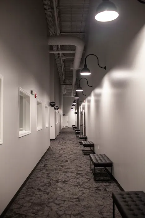 Bloom Dance Studio - Oakview Picture 8