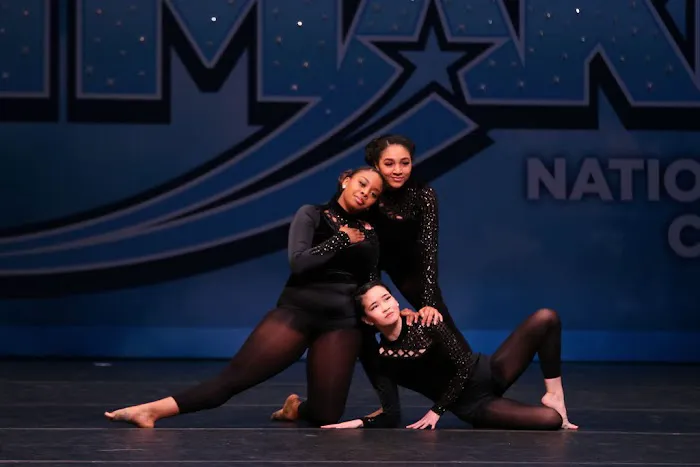 Dance Artistry Unlimited, Inc. Picture 2
