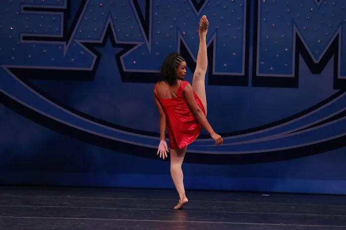 Dance Artistry Unlimited, Inc. Picture 3