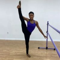 DanzStar, LLC ico