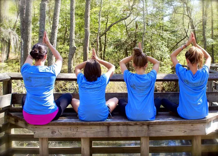 Harmony Health Yoga, dance, Pilates classes, school, special events, and private sessions Picture 6