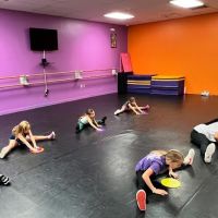 Danceland II School of Dance ico