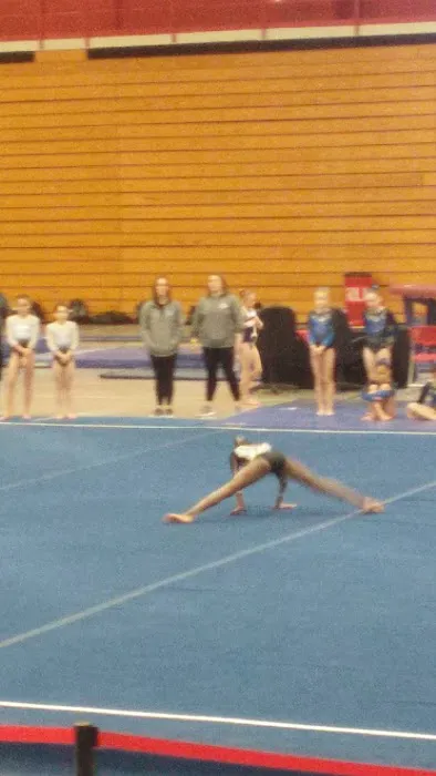 Gymstrada Gymnastics Picture 9