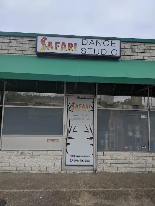 Safari Dance Studio Picture 7
