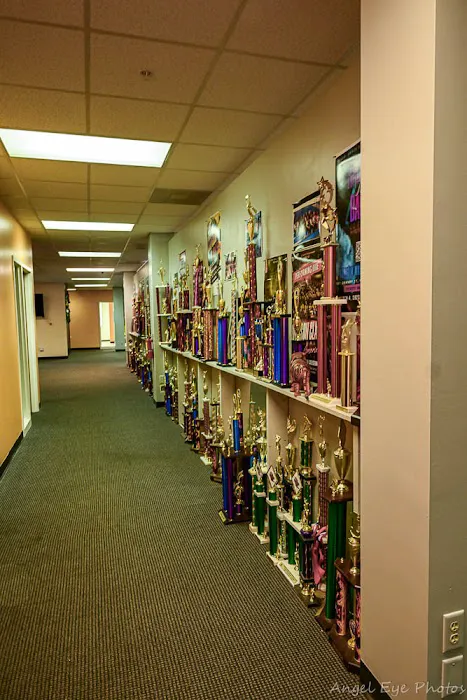 Safari Dance Studio Picture 8