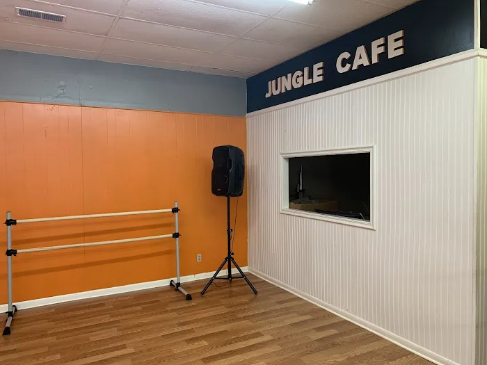 Safari Dance Studio Picture 6