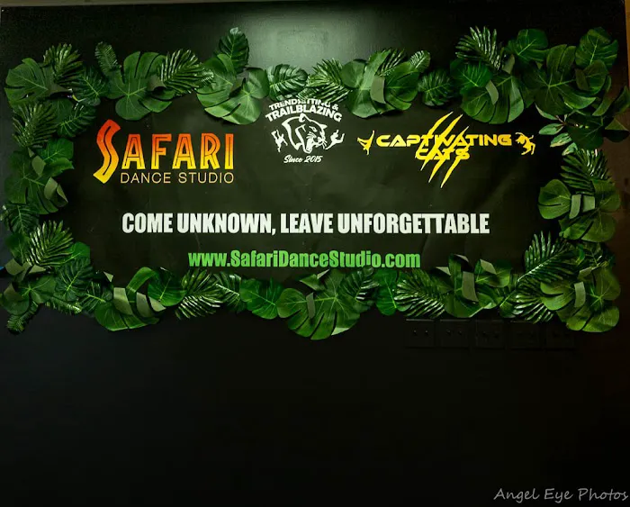 Safari Dance Studio Picture 10