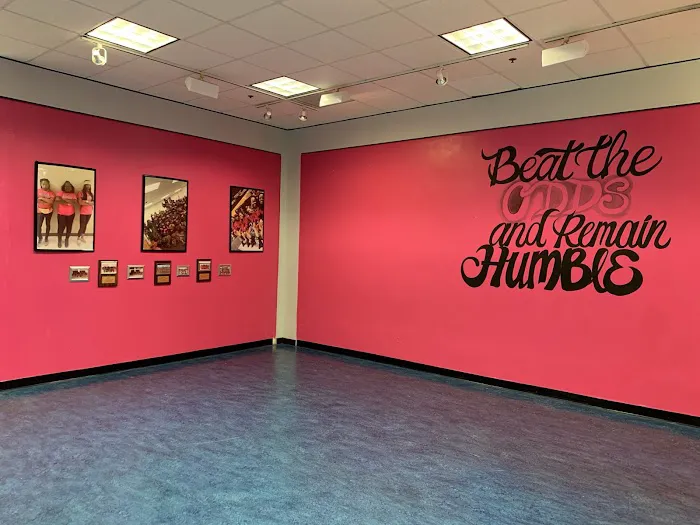 Pink Pearls Dance Company Picture 3