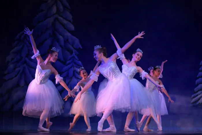 Ballet Virginia - Norfolk Picture 10