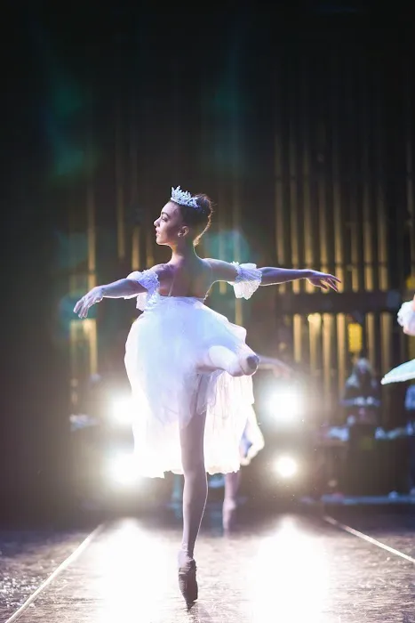 Ballet Virginia - Norfolk Picture 4