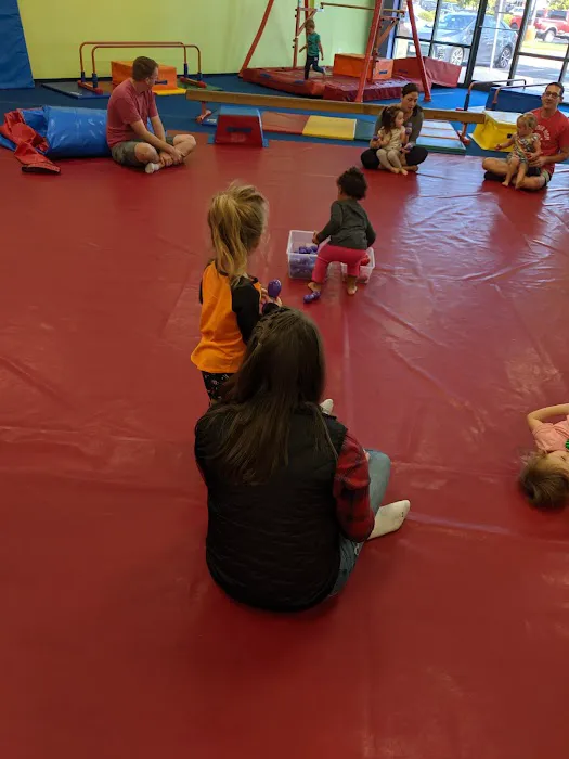 The Little Gym of Chesapeake Picture 2