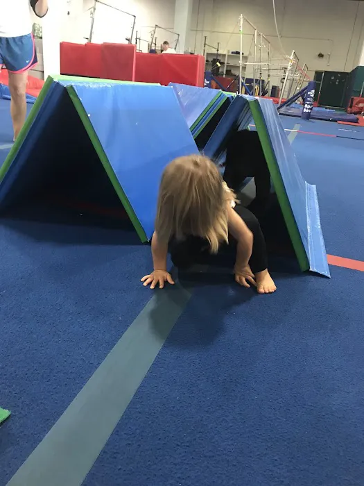 Tidewater Gymnastics Academy Picture 1