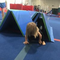 Tidewater Gymnastics Academy ico
