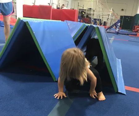 Tidewater Gymnastics Academy