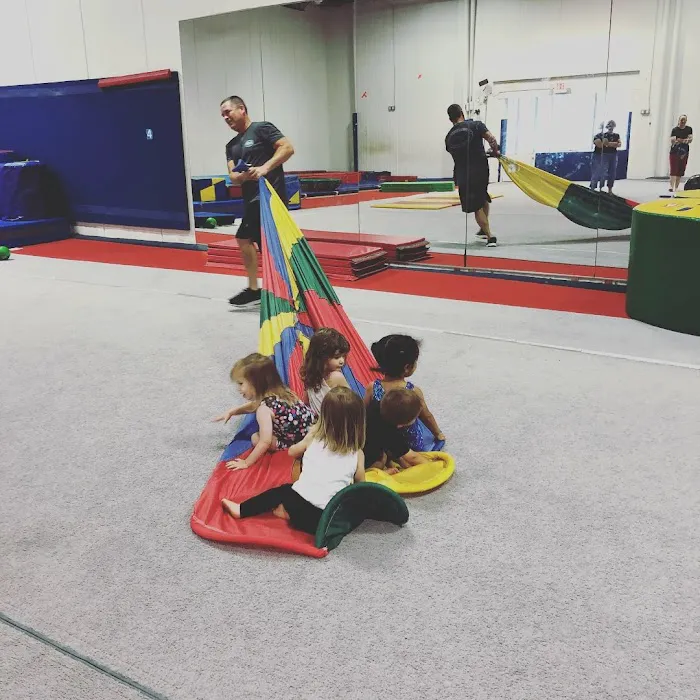 Tidewater Gymnastics Academy Picture 2
