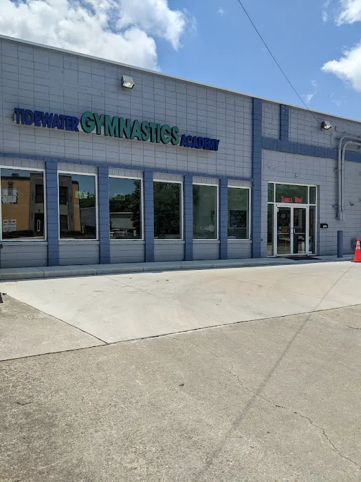 Tidewater Gymnastics Academy Picture 4