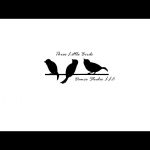 Three Little Birds Dance Studio