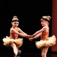 Nikki's Dance Studio ico