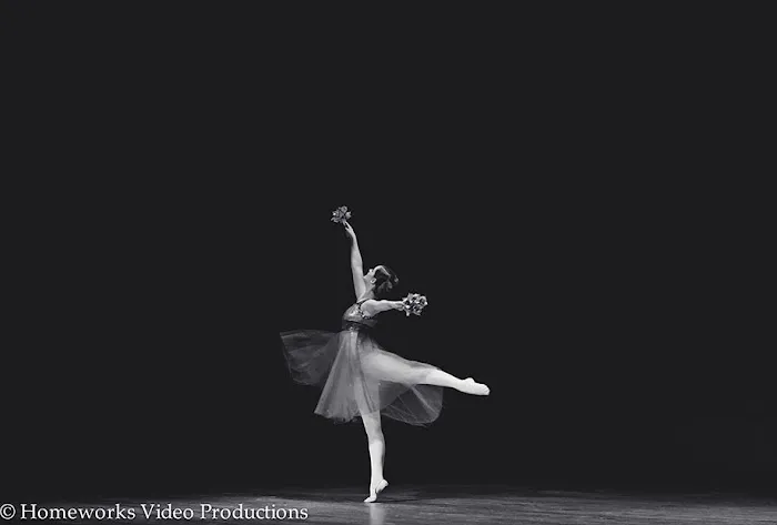 Southside Ballet Studio Picture 3