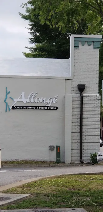Allonge Dance Academy Picture 5