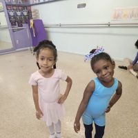 Fields Dance Studio ico