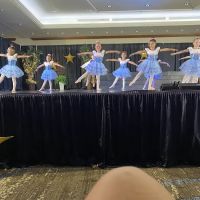 The Academy of Dance and Gymnastics ico