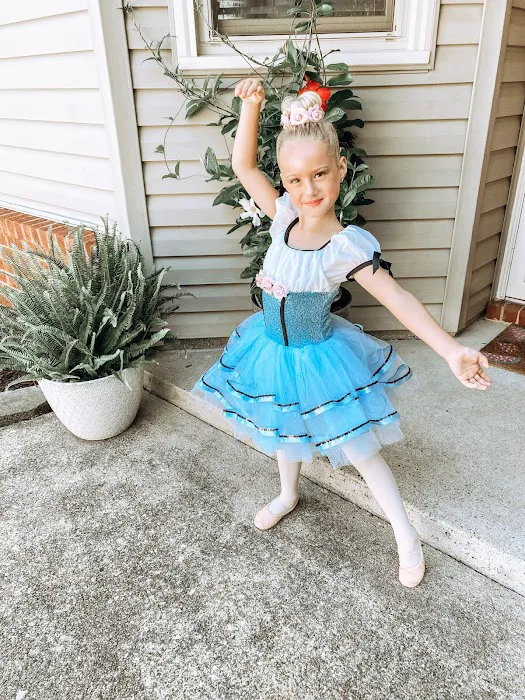 The Academy of Dance and Gymnastics Picture 4