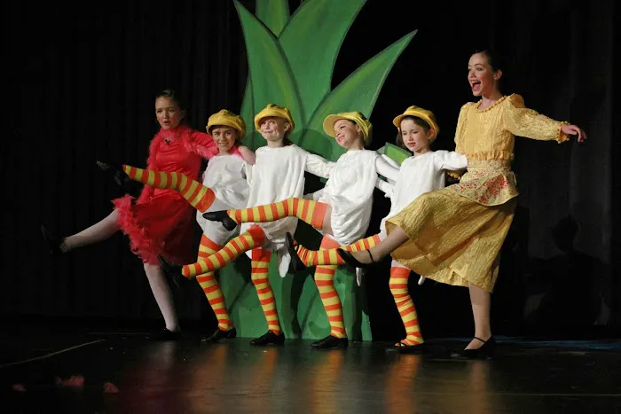 Centerstage Academy of Performing Arts Picture 2