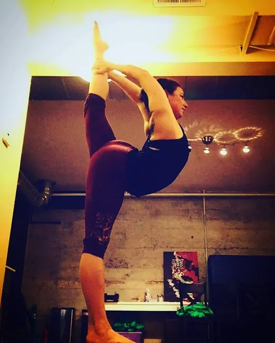 Night Flight Aerial & Circus Arts Picture 4