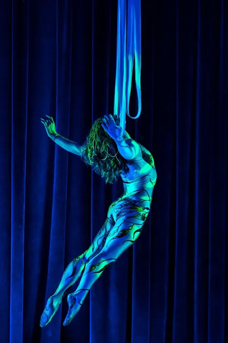 Night Flight Aerial & Circus Arts Picture 3