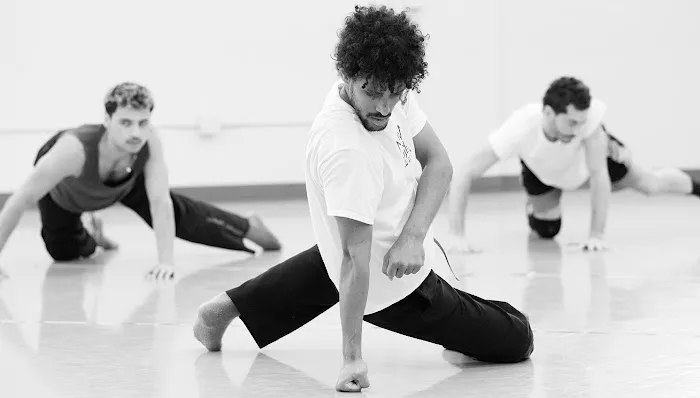 NW Dance Project Picture 6