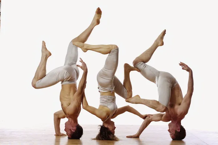 BodyVox Picture 1