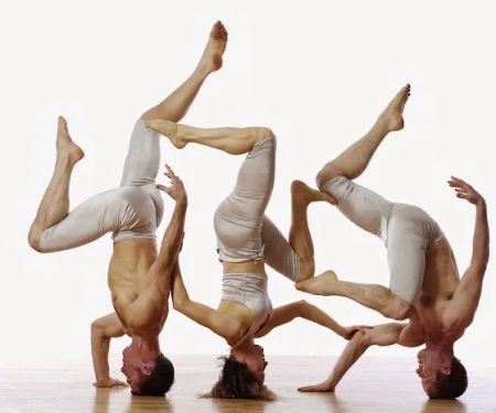 BodyVox