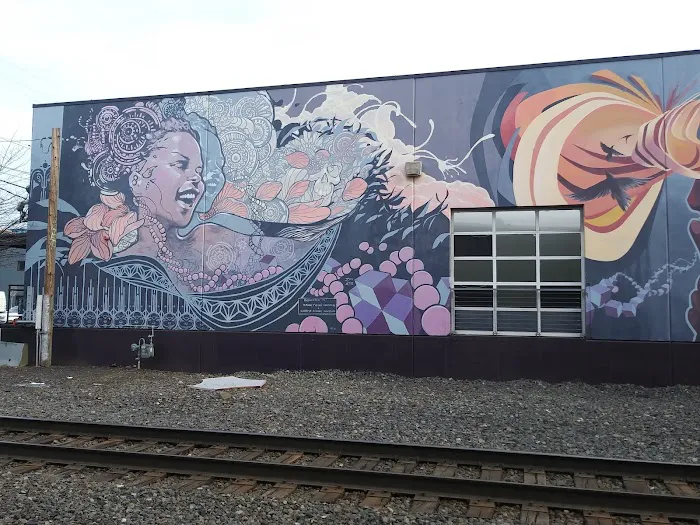 Vitalidad Movement Arts Center (VMAC) Picture 2