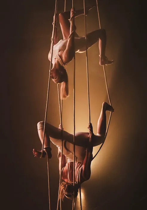 A-WOL Dance Collective Picture 2