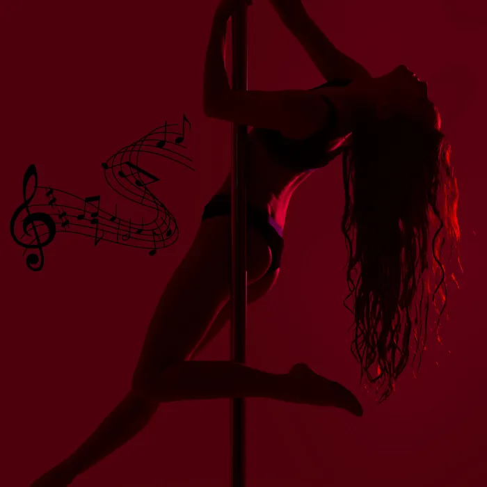 Body Flow LLC- Licensed S Factor Classes Picture 4