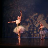 Academy of Ballet & Dance Arts ico