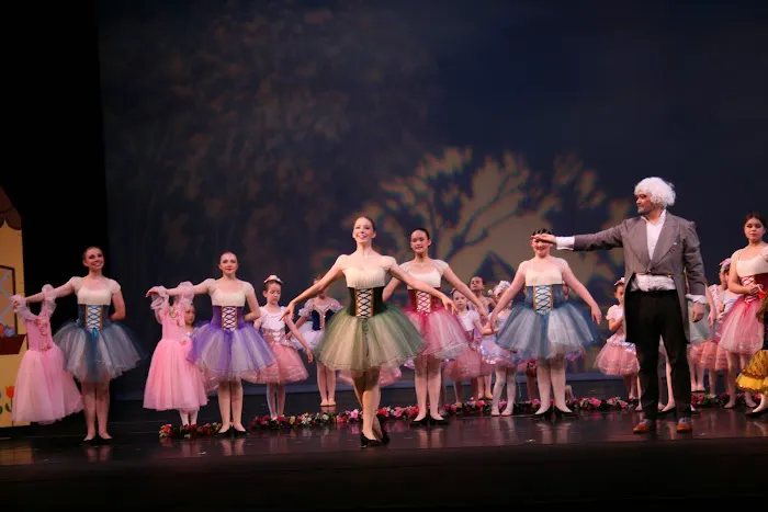 Academy of Ballet & Dance Arts Picture 3