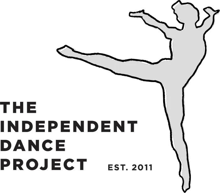 The Everybody Dance Project Picture 2
