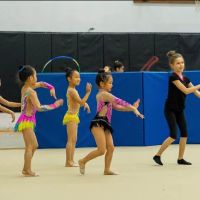 PDX Rhythmic Gymnastics Ballet & Dance Performing Arts (PDXRBD) ico