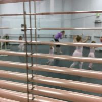 June Taylor School of Dance ico