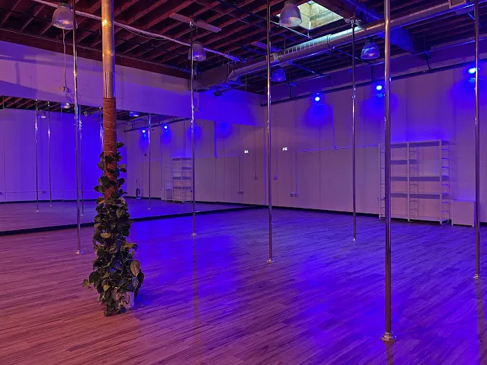 Beaverton Pole + Dance Picture 2