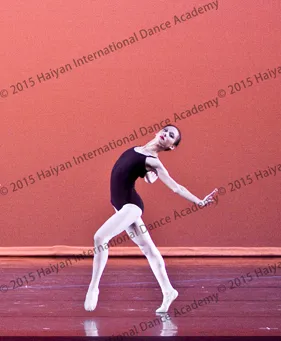 Haiyan International Dance Academy - Bethany Studio Picture 5