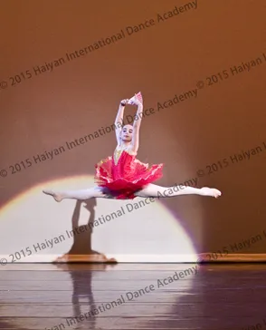 Haiyan International Dance Academy - Bethany Studio Picture 9