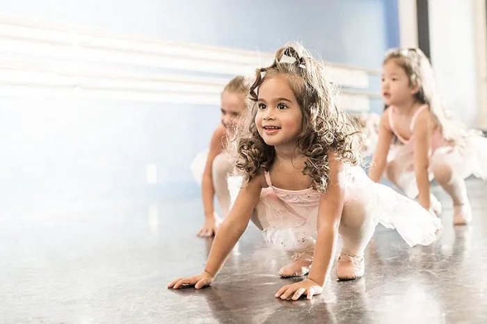 New Vision Dance Center Picture 3