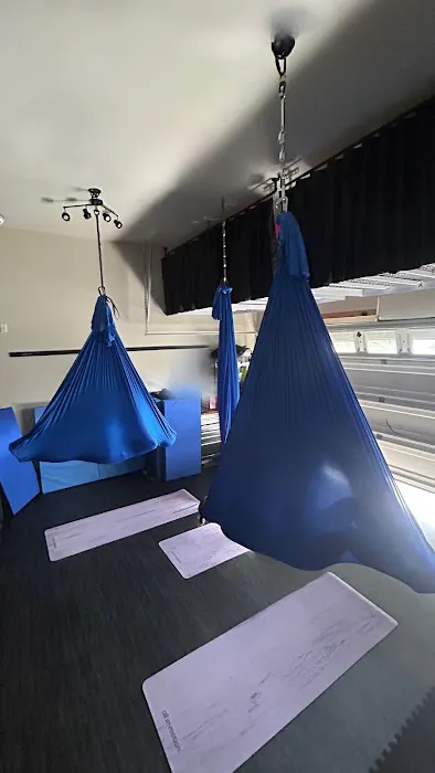 Rhapsody Aerial Dance Picture 2